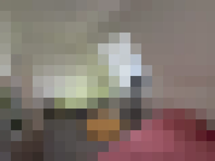  / #8