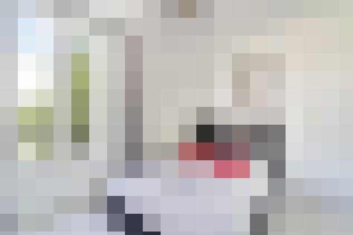  / #7