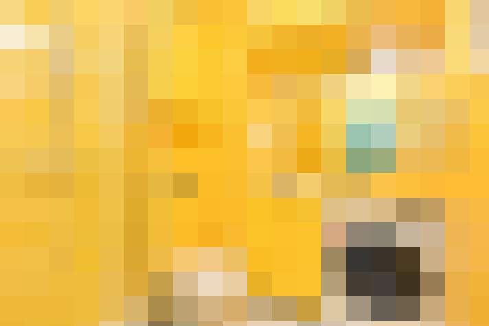  / #9