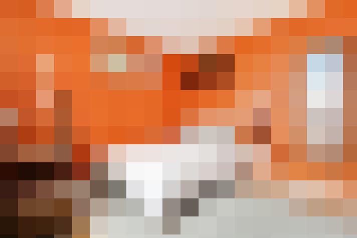  / #6