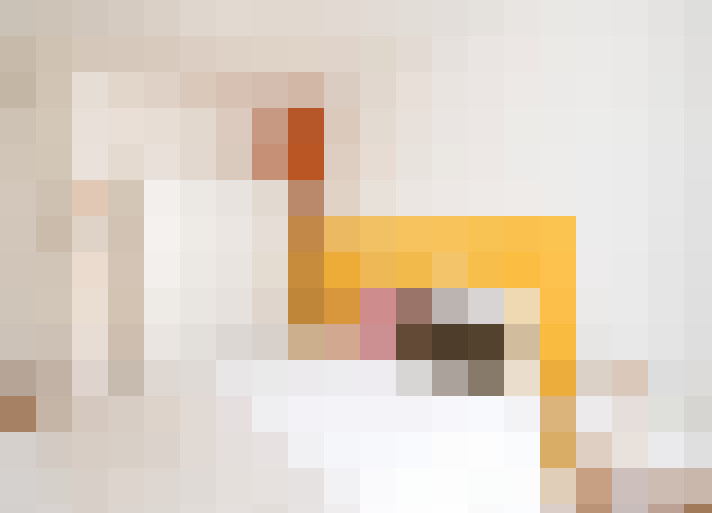  / #11