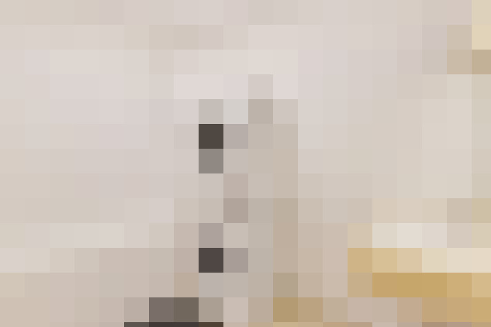  / #10