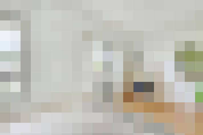  / #7