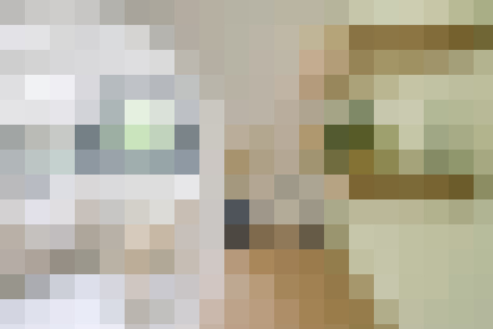  / #7