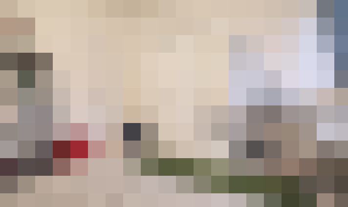  / #8