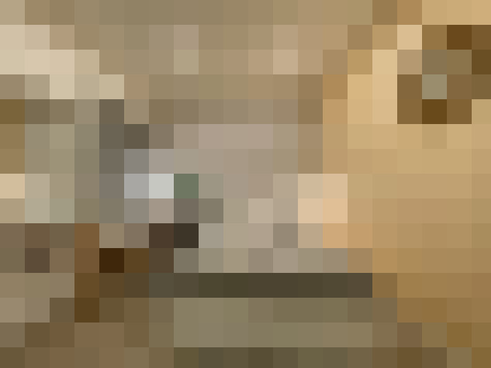  / #8