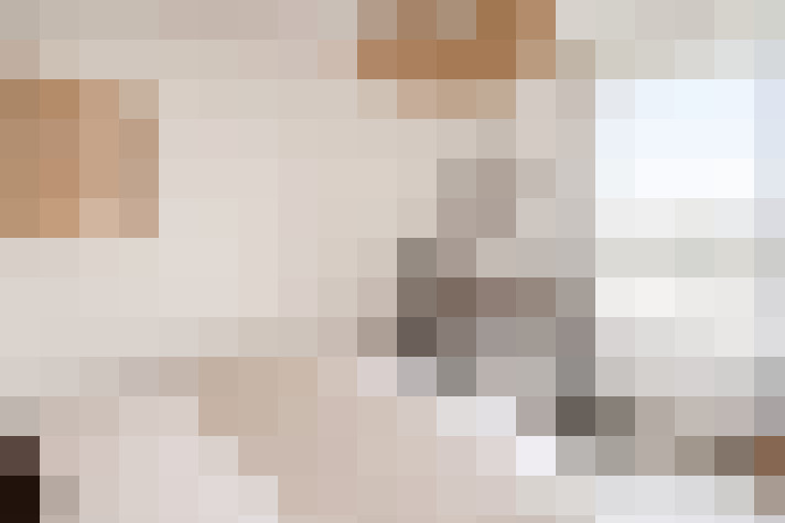  / #11