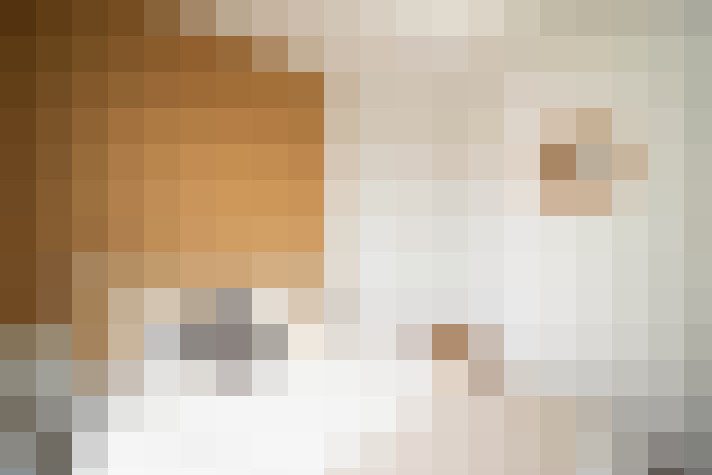  / #12