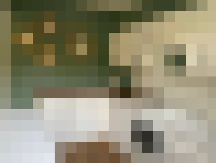  / #7