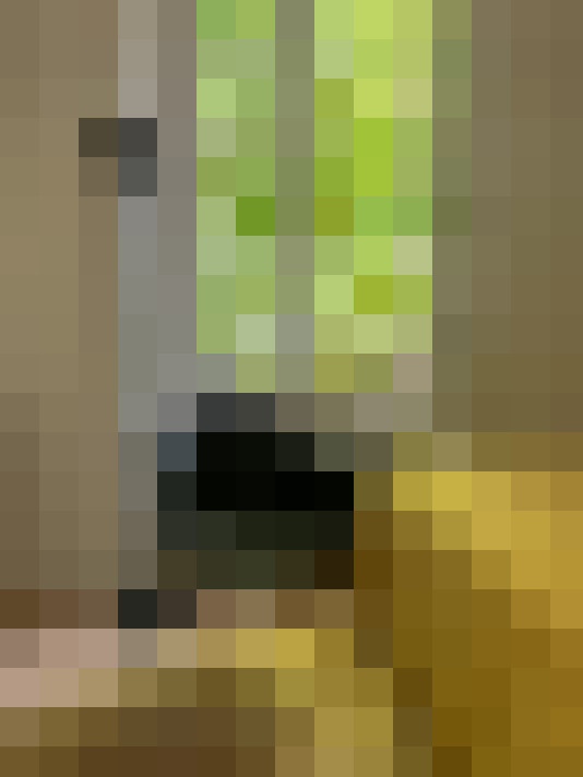  / #6