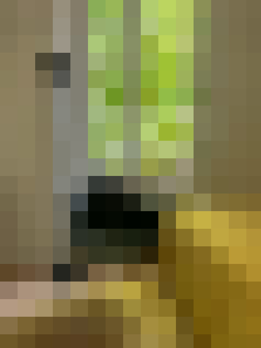  / #5