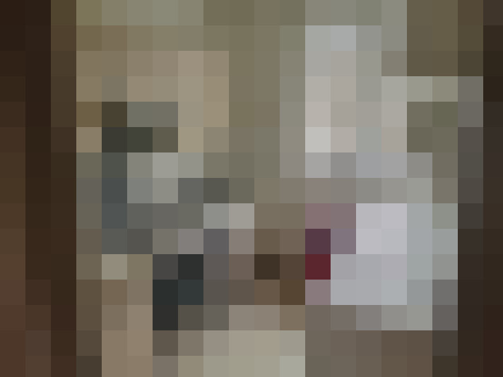  / #6