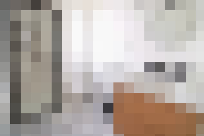  / #8