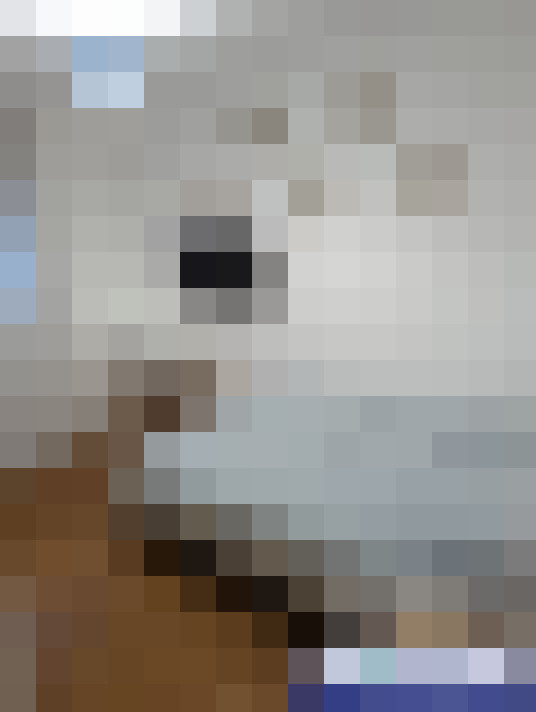  / #15