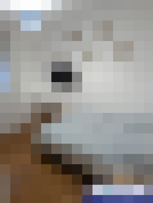  / #16