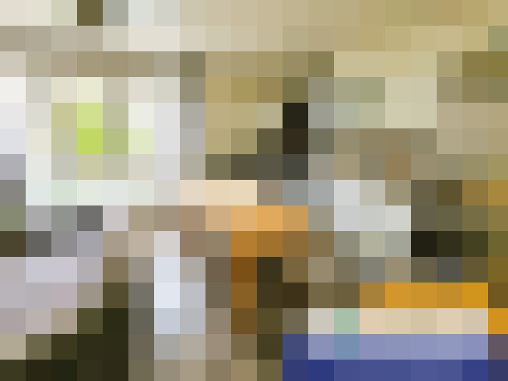  / #6