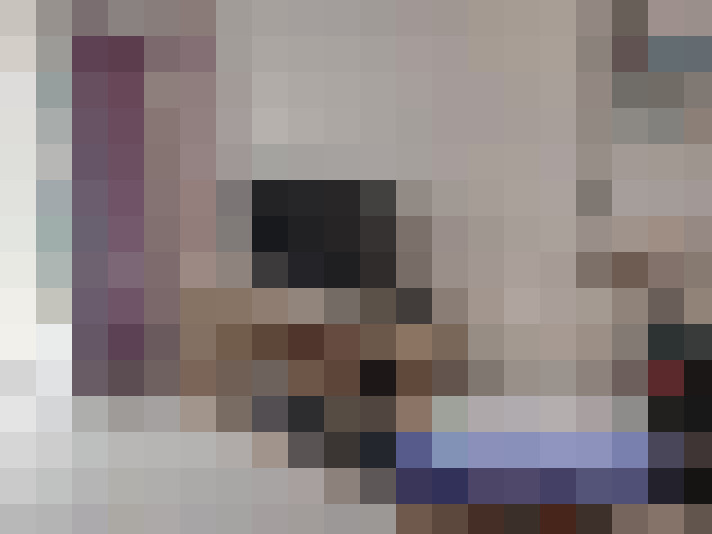  / #20