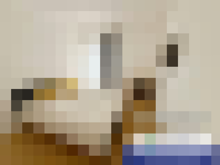  / #14