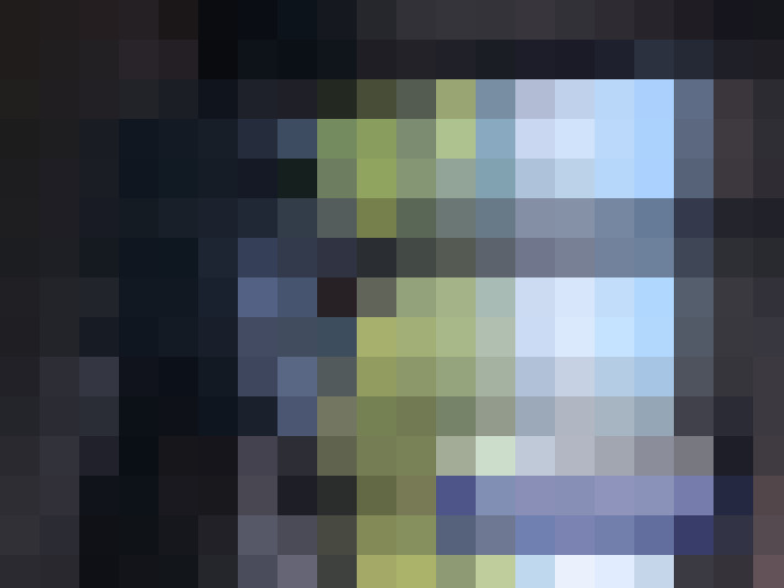  / #19