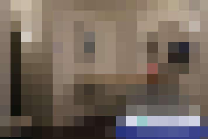  / #7