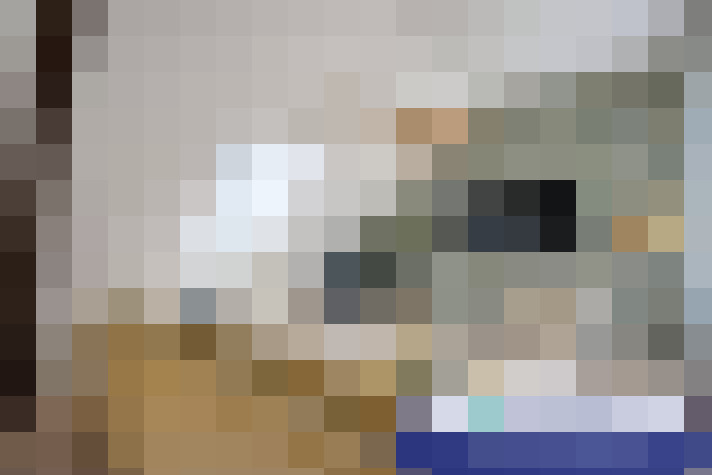  / #14