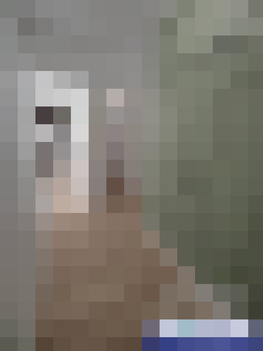  / #6