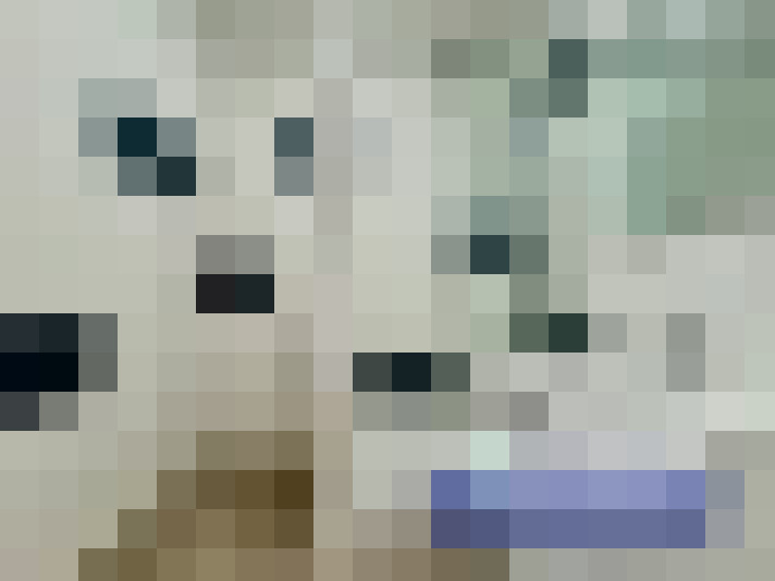  / #9