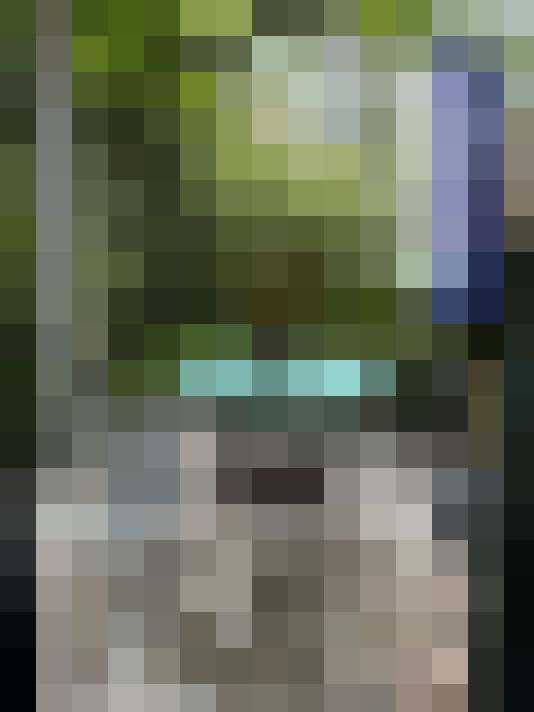  / #15