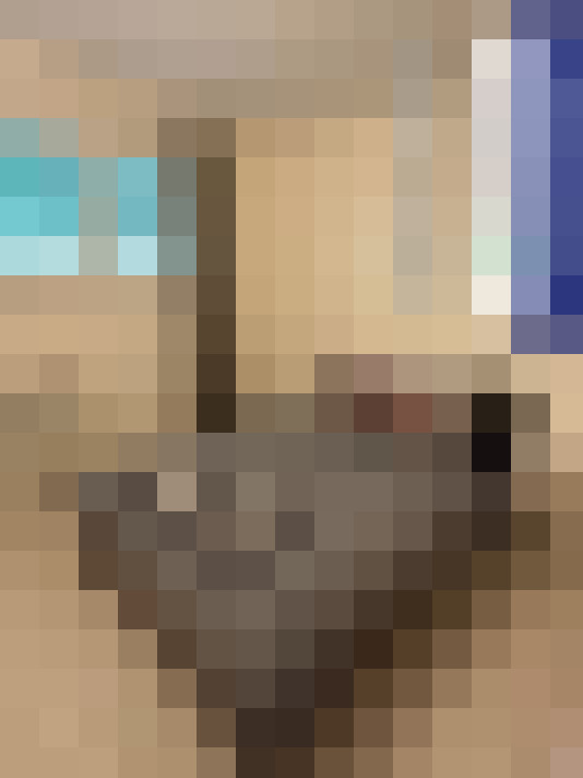  / #18