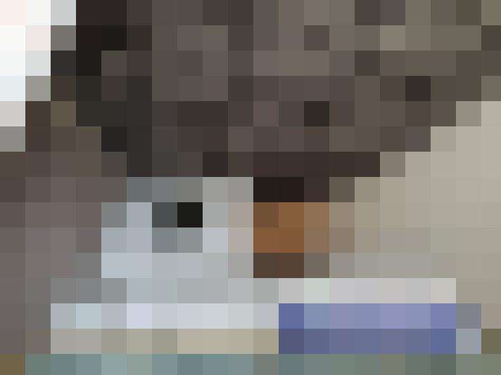  / #18