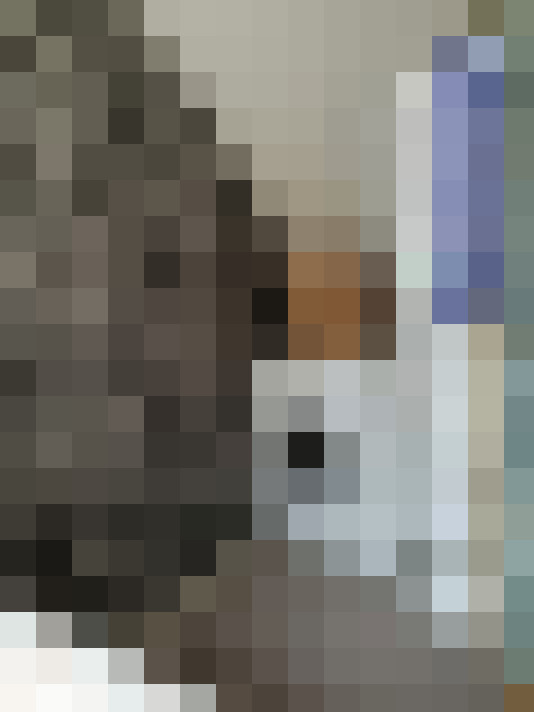  / #17
