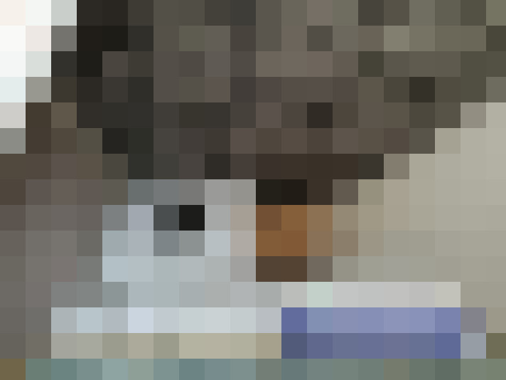  / #16