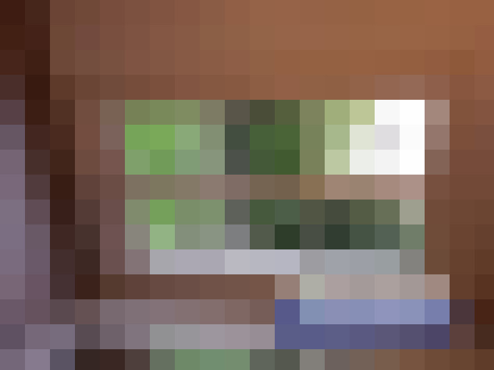  / #11