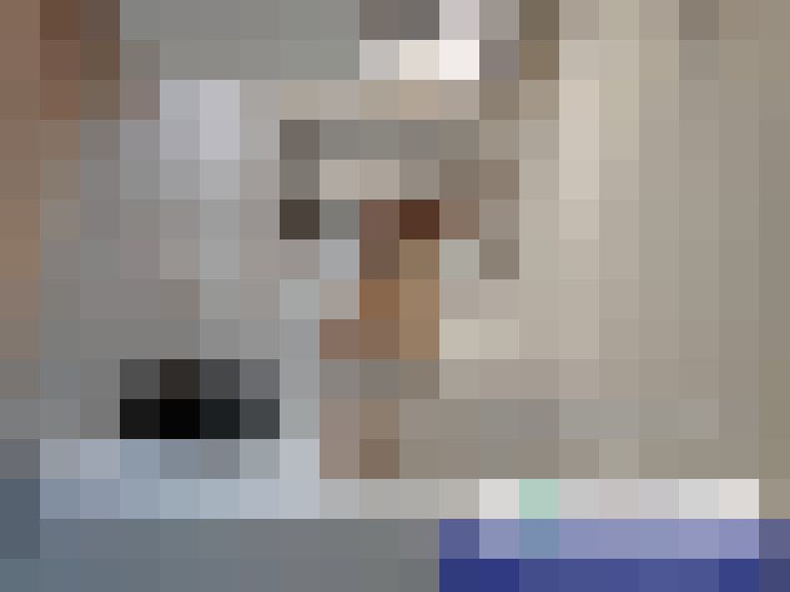  / #15