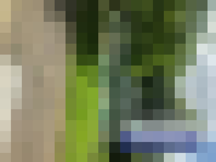  / #15