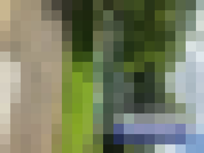  / #18