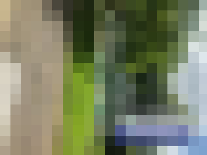  / #17