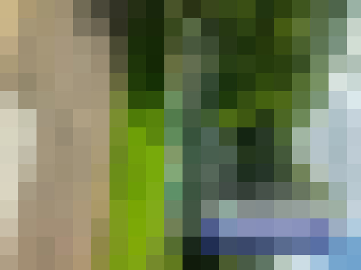  / #16