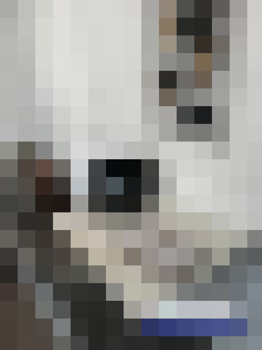  / #8