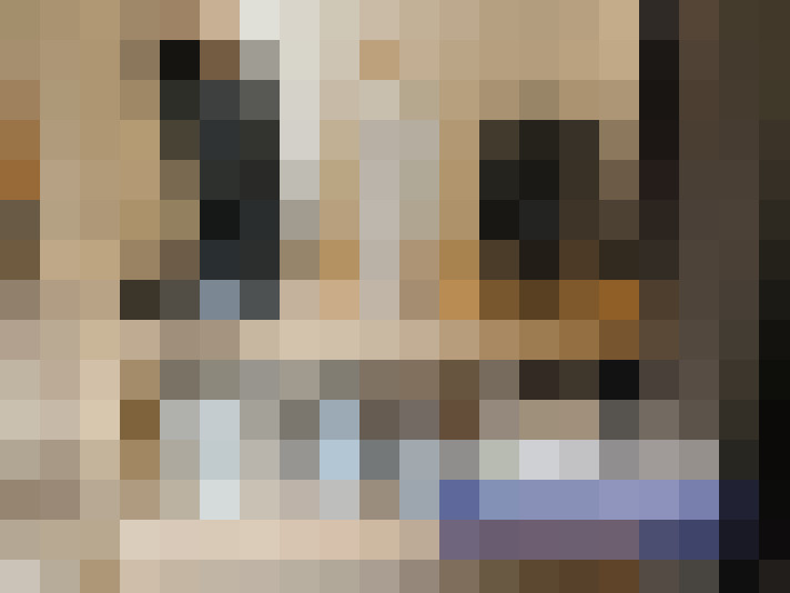  / #8