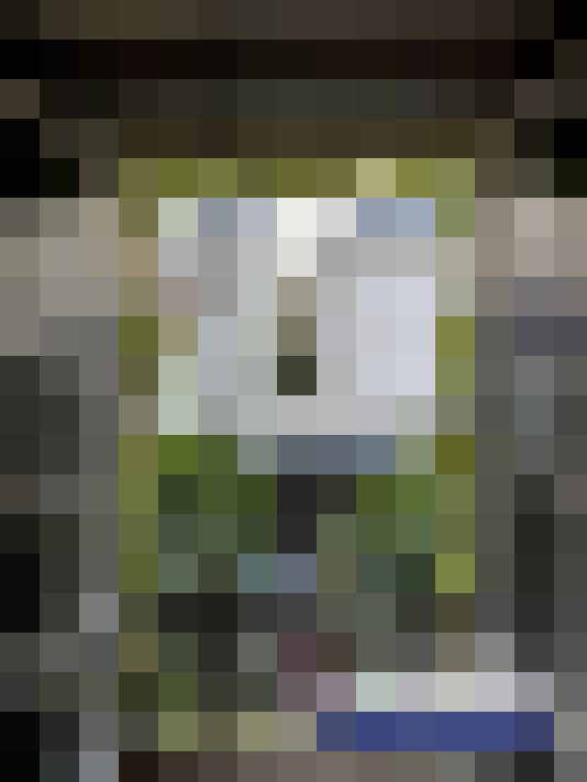  / #19
