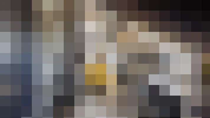  / #13