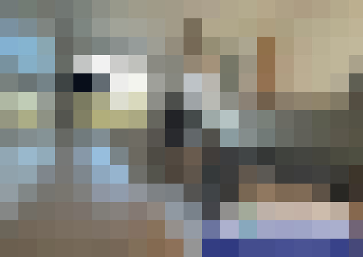  / #8