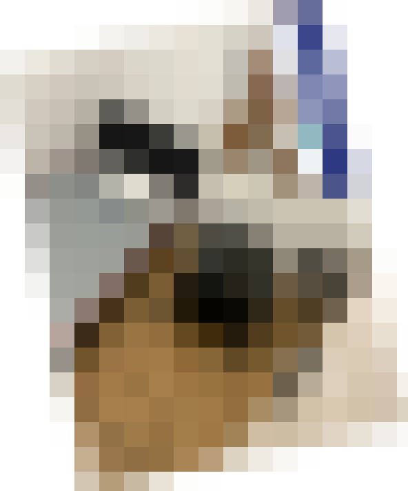  / #7
