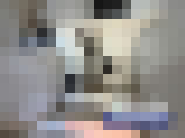  / #17