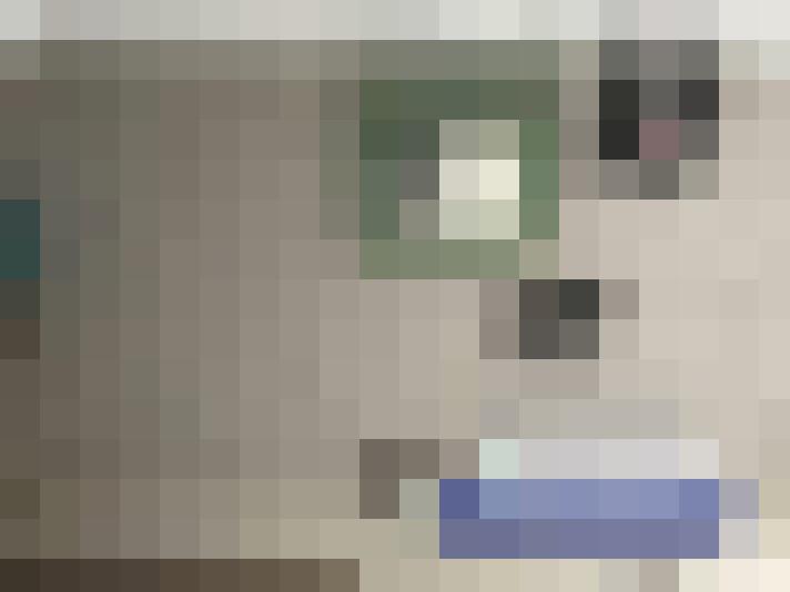  / #16