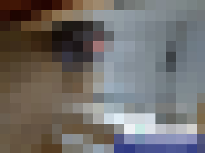  / #16
