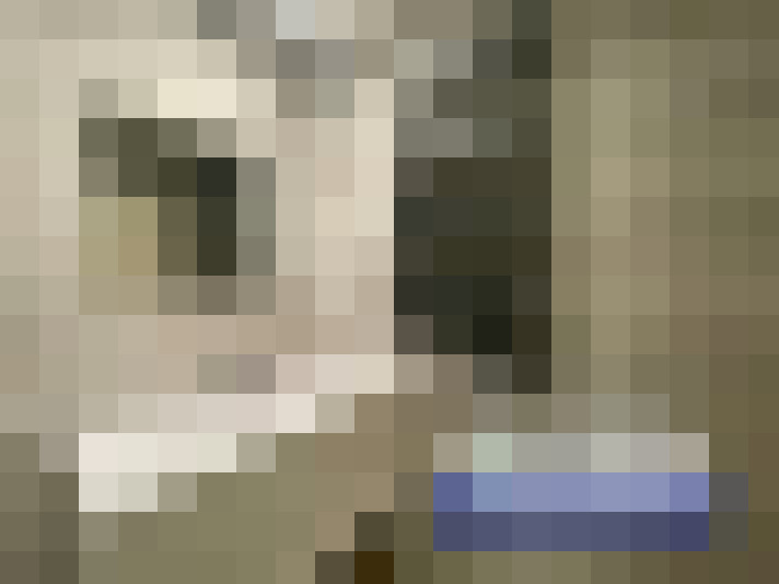  / #9