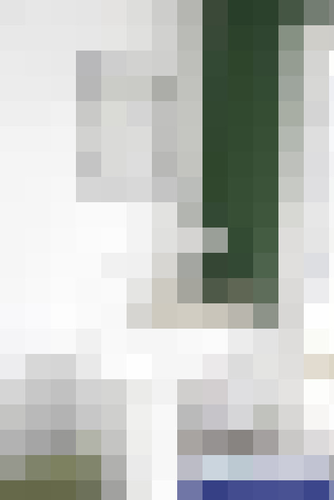  / #10