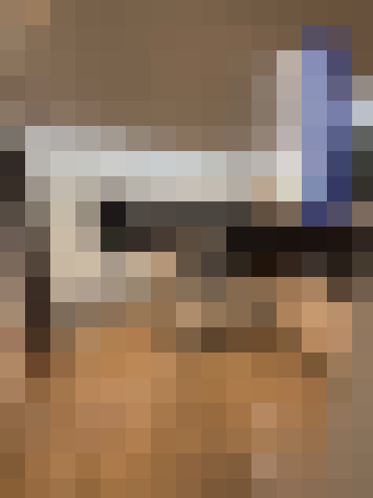  / #23